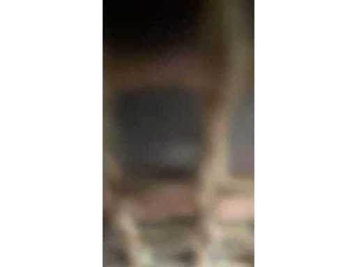 2cc5fab6-39df-4dbc-95e6-9439875a6097.mp4