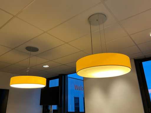 Hanglamp (2x)