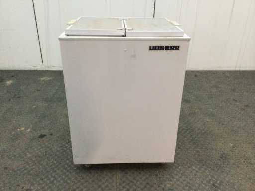 Liebherr GTE 1501 Index 21C/001 Vriezer