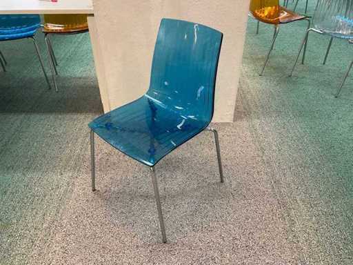 Papatya X-Treme Sitzungsvorsitzende (50x)