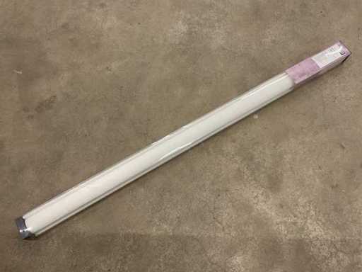 Karwei Tende a rulli senza filo Karwei Uni 90x190cm