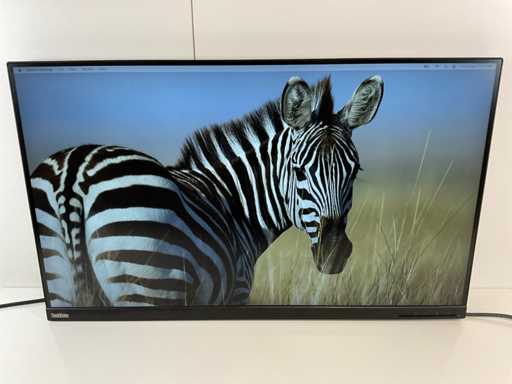 Lenovo (T32p-20) 32”, 3840x2160 (UHD) IPS Curved Monitor