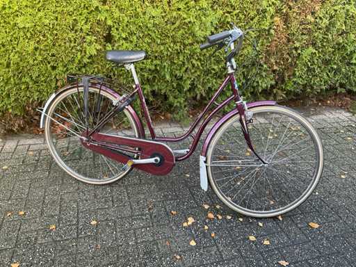 Rolls Well Damesfiets