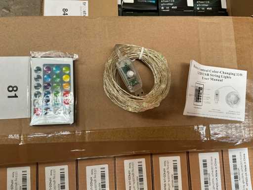 LED Christmas lights (160x)