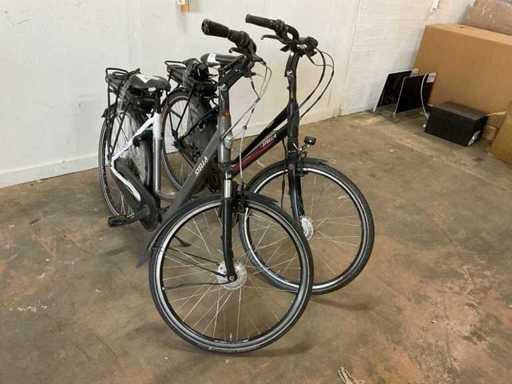 Vélo électrique Stella (2x)