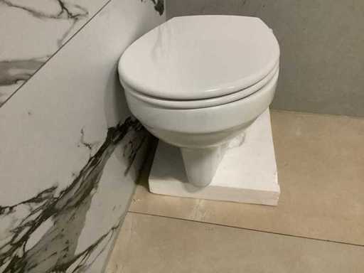 Wall-mounted toilet rimless+ toilet seat