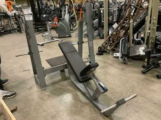 Precor Icarian Incline Bench Press Power Station