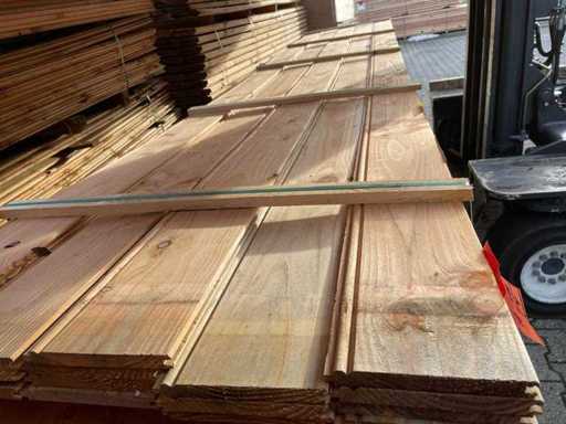 Douglas - pióro i wpust - 5000x170x18mm (18x)