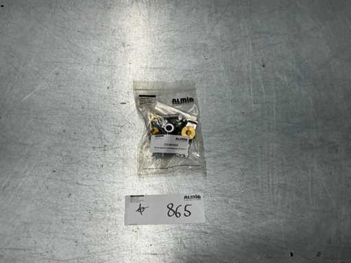 Zawór bezpieczeństwa zestawu serwisowego 21-52 51US (12x)