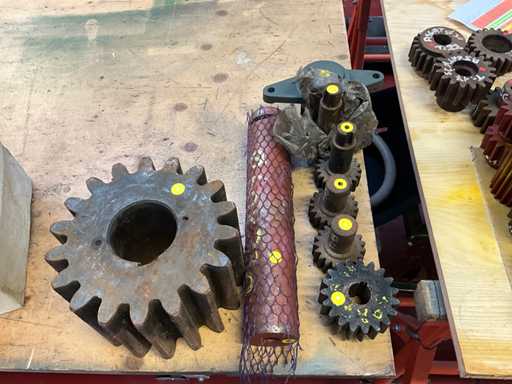 Various sizes of pinions