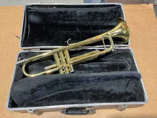 Trompete