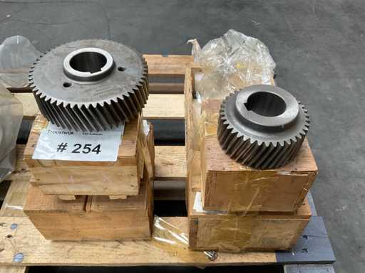 BSA42SG Kit de caja de cambios (3x)