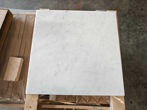 Pietra Naturale Marmo Bianco Levigato 61x61x1 cm Piastrelle 55.82 m²