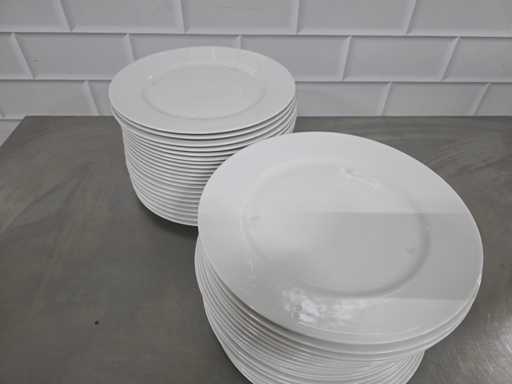 Capacco - Plates (40x)