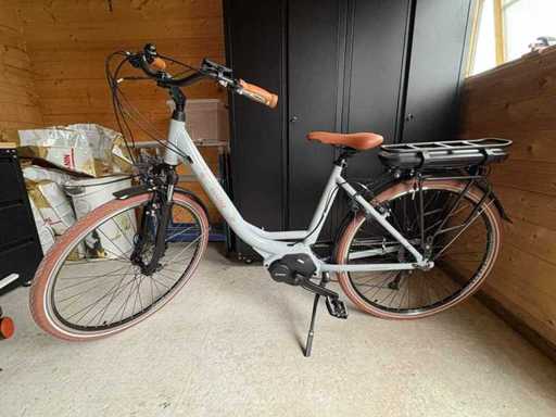 Minerva Eluxo E-power Elektrofahrrad