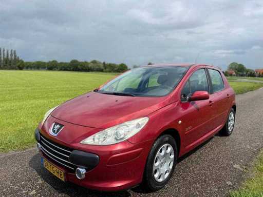 Peugeot - 2006 - 307 - 1.6-16V Oxygo - 58-TG-HB