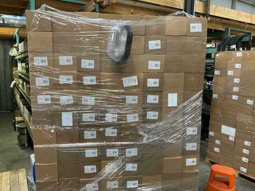 Thorn Giada G2N Vandalismus-sichere Außenlampe Außenbeleuchtung (70x)