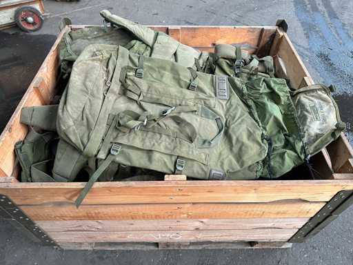 Rucsacuri de petrecere Alice