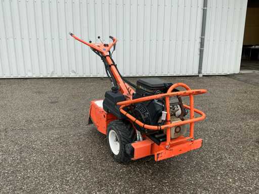 Barreto 1620 Tuinfrees