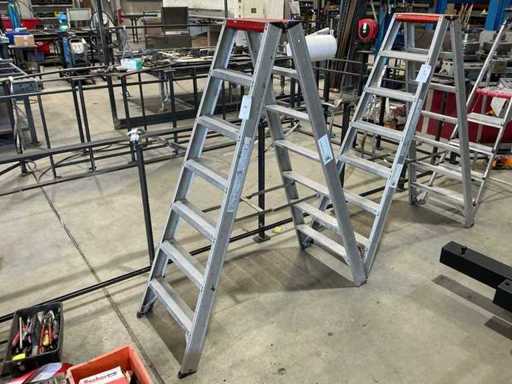Altrex Double Ladder