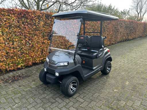 Voiturette de golf OX ZG2 2022