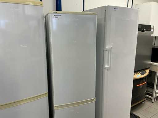 Frigider PROLINE PLC281 - 278L