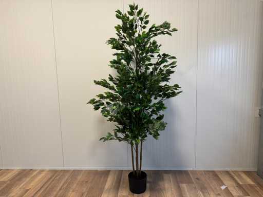 Sztuczna roślina Real touch Fikus (wysokość 210 cm)