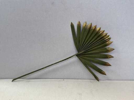 Frunze decorative de palmier Verde soare / Auriu (864x)
