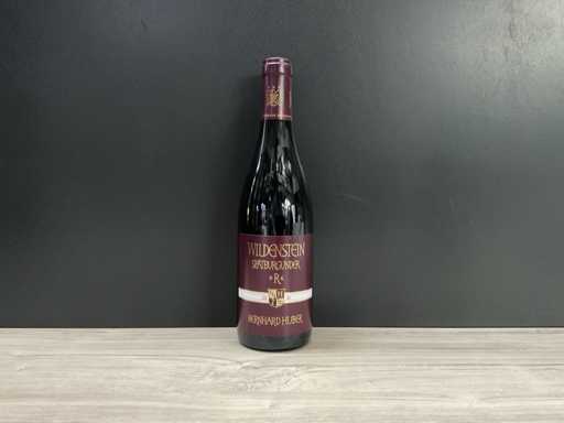 Huber R Wildenstein 2010