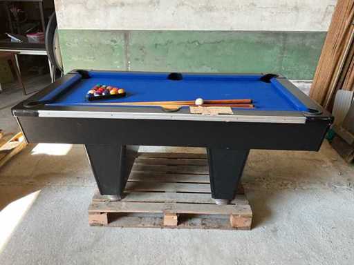 Polacco americano