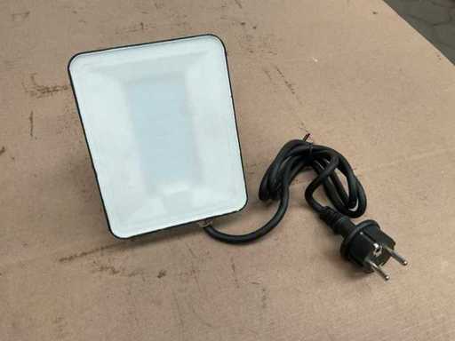 Fluxon LB30F Led Floodlight