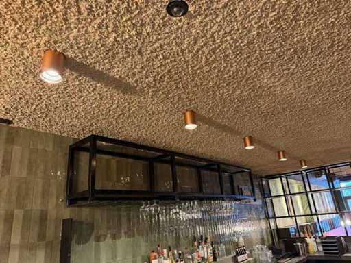 Lampe de plafond (5x)