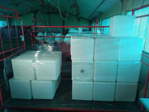 CUBBIG 43 cuburi rosé & CUBO 43 cuburi (28x)