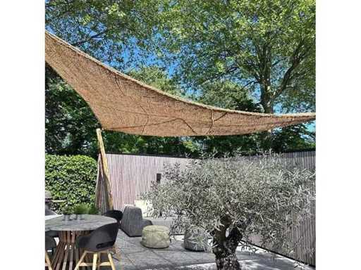 Globe Home and Garden Auctions