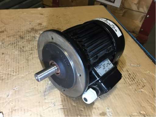 Electric motors