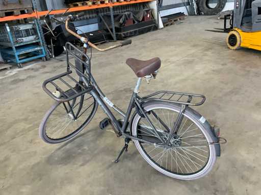 Rower damski Vogue Elite