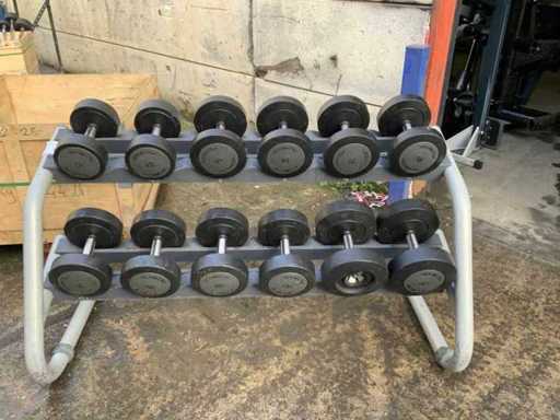 Technogym série 12 avec haltères ; 14; 16; 18; 20; Multi-gym 32kg