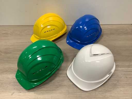 Diverse Veiligheidshelm (100x)