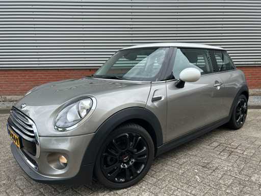 Mini Mini 1.5 Cooper Salt , ; PN-964-V