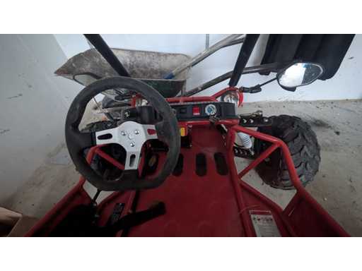 BUGGY NITRO Children`s buggy