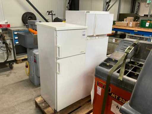 Kühlschrank (2x)