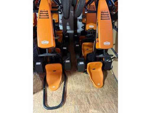 Montagna - Croce X (4 volte)