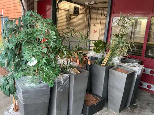 Plantenbak divers (20x)