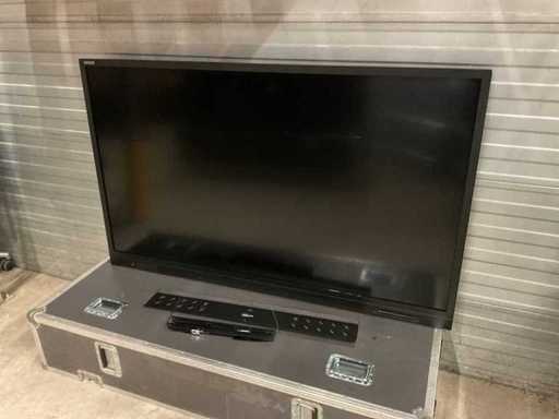 Avocor AVE-6510 Touch Screen Interattivo da 65"