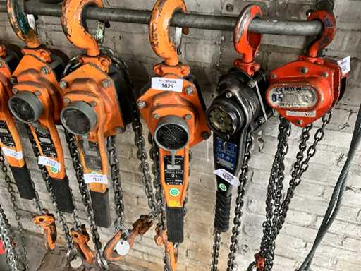 Seleziona Tenditore per paranco a catena