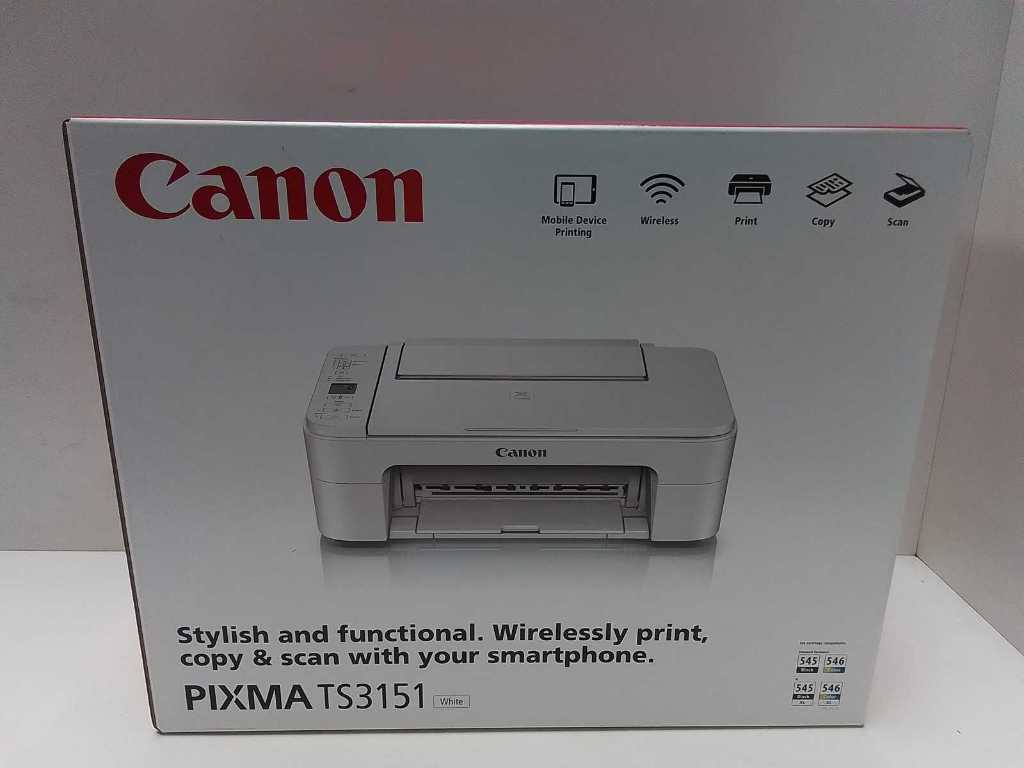 Imprimante Jet d'encre Canon Pixma TS3151 - Imprimante