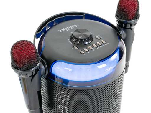 Ibiza Karahome draagbare karaokespeler met 2 zwarte microfoons