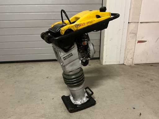 2021 Wacker neuson BS60-2 Trilstamper
