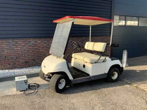 Cartette de golf Yamaha avec chargeur de batterie