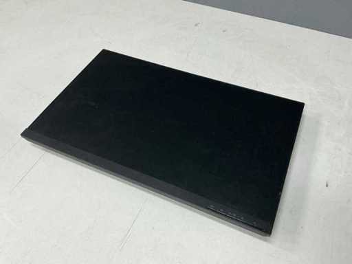 Lenovo L24i-30 C20238FLO Monitor
